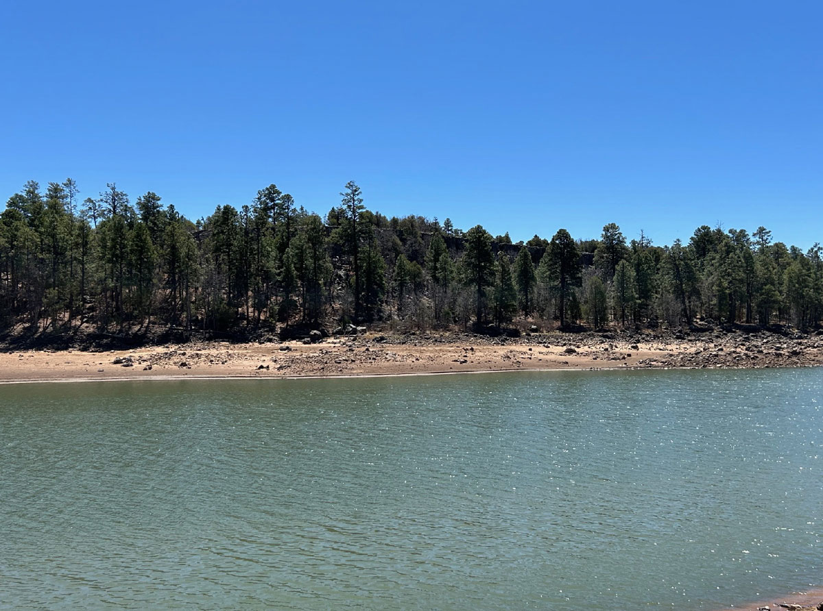4-Acre Show Low Lake Lakefront Parcel For Sale