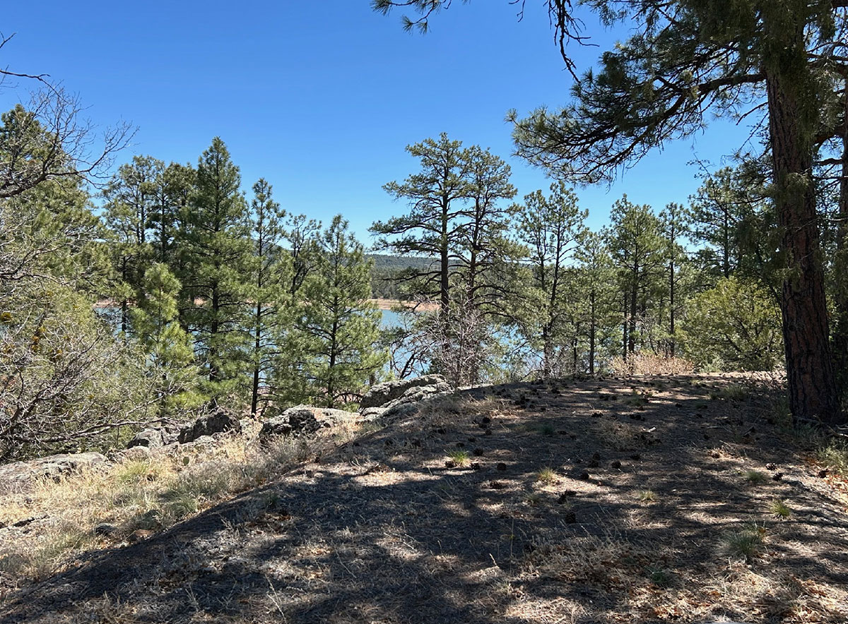 48-Acre-4 Show Low Lake Lakefront Parcel For Sale