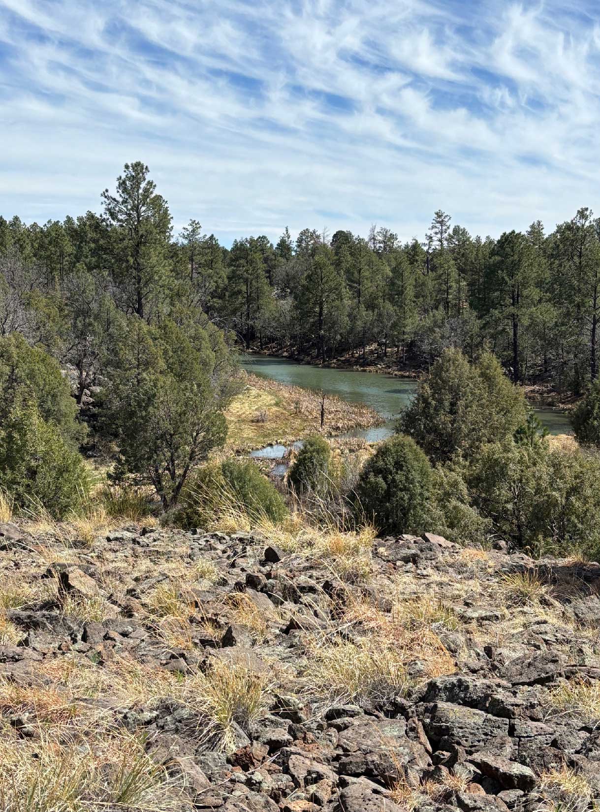 SLL-12-Acre-Image Show Low Lake Lakefront Parcel For Sale
