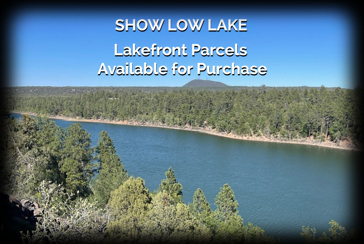 Lakefront view with lush forest and tranquil water in Show Low, Arizona. Ideal for serene living and outdoor activities.