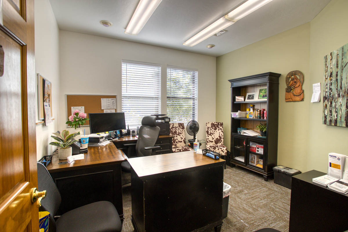 Showlow Office Buildings for Sale (6) Office space with carpet flooring, shelving storage, natural light, and a cozy, professional atmosphere. For sale in Show Low, AZ.
